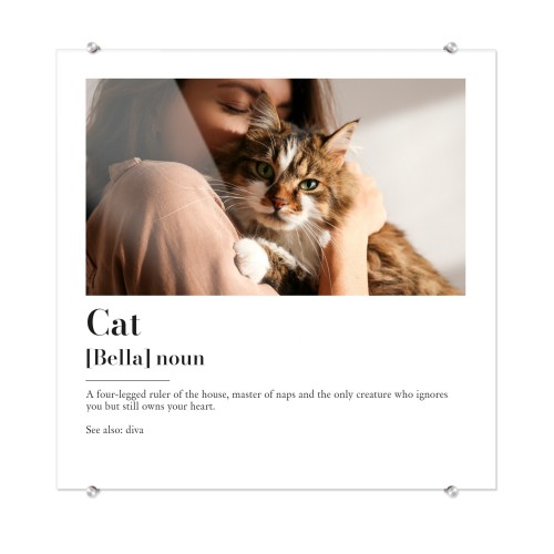 Dictionary Definition