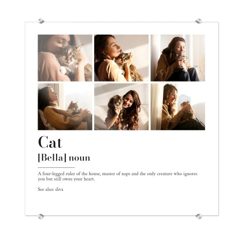 Dictionary Definition with 6 Photos