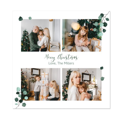 Wedding Plants Wedding Plants