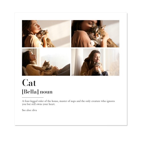 Dictionary Definition with 4 photos