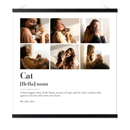 Dictionary Definition with 6 Photos