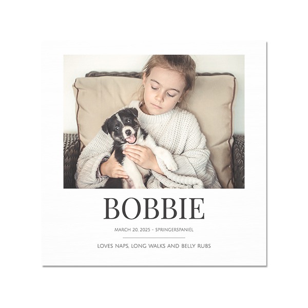 BlackLettersPhoto BlackLettersPhoto