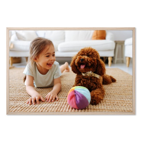 Photo Only Photo Only