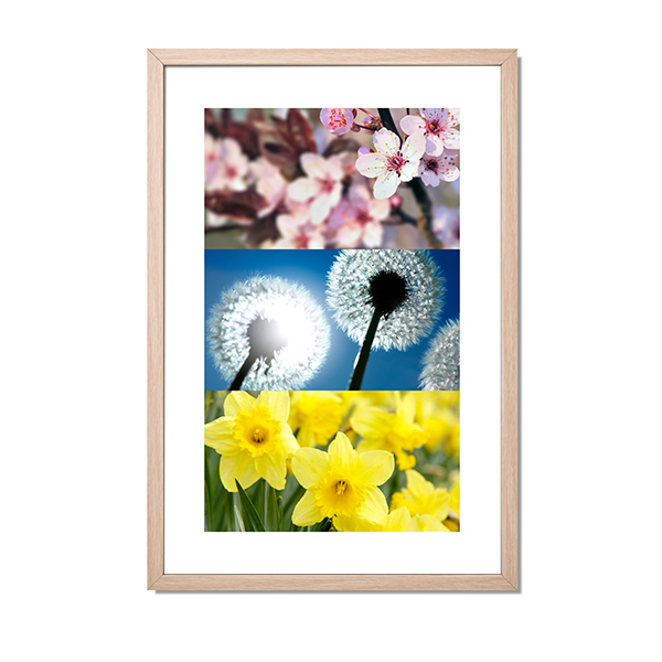 3PanoFramedText 3PanoFramedText