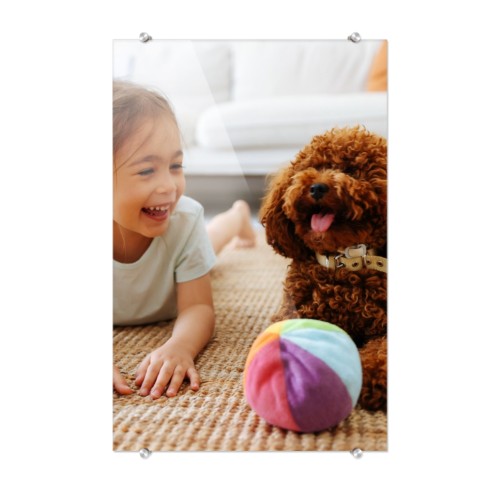 Photo Only Photo Only