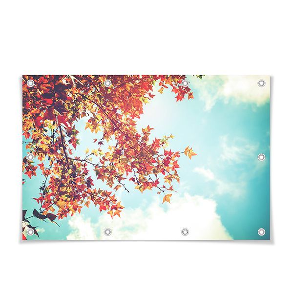 outdoorposter150x60_horizontal_photoonly