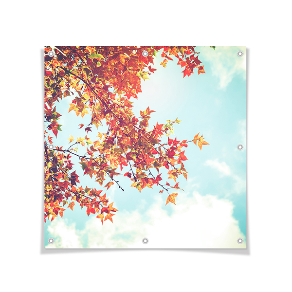 Tuinposter 60 x 60 cm Tuinposter 60 x 60 cm