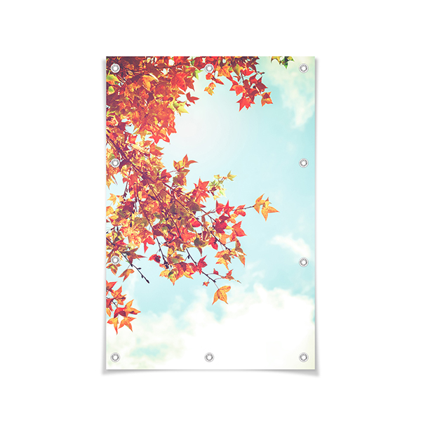 Tuinposter 70 x 105 cm Tuinposter 70 x 105 cm