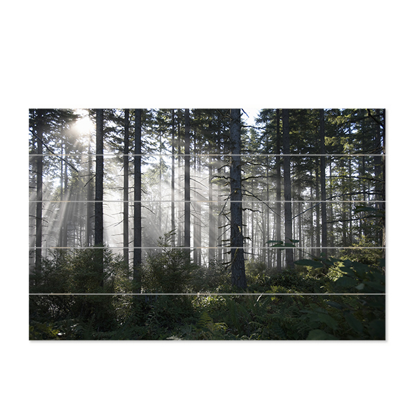 Foto auf Holzlatten 48,8 x 75 cm