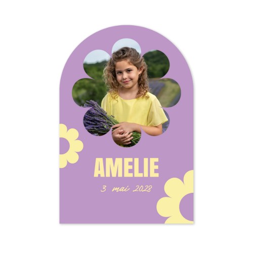 Daisy Shape Daisy Shape