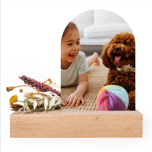 Photo Only Photo Only