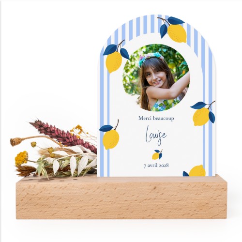 Forex luxe arche sur support en bois & fleurs séchées