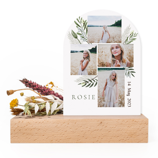 Forex kaart boog in houten houder met droogbloemen