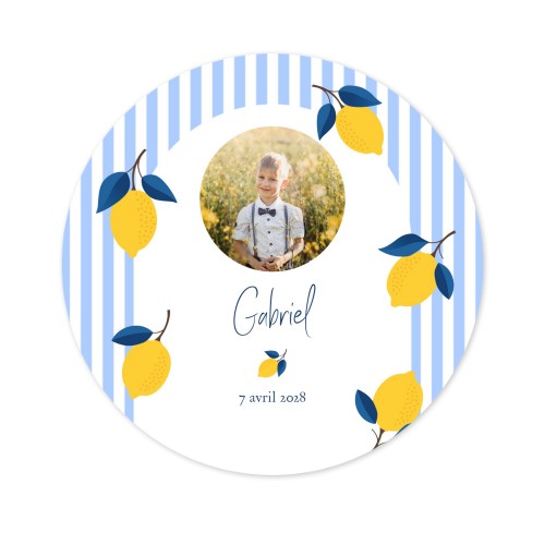 Lemon Stripes Party Lemon Stripes Party