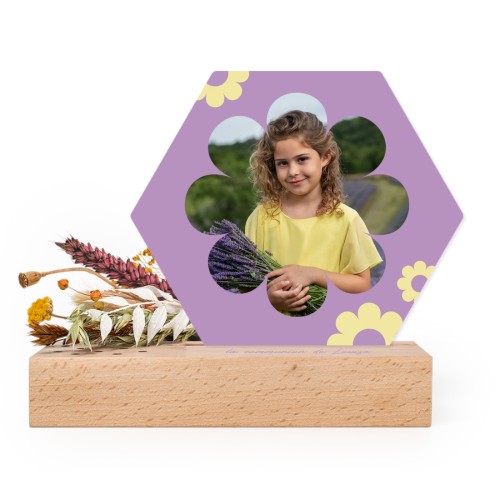 Daisy Shape Daisy Shape