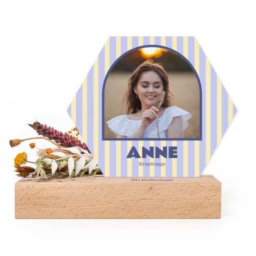 Striped Arch Shape Striped Arch Shape