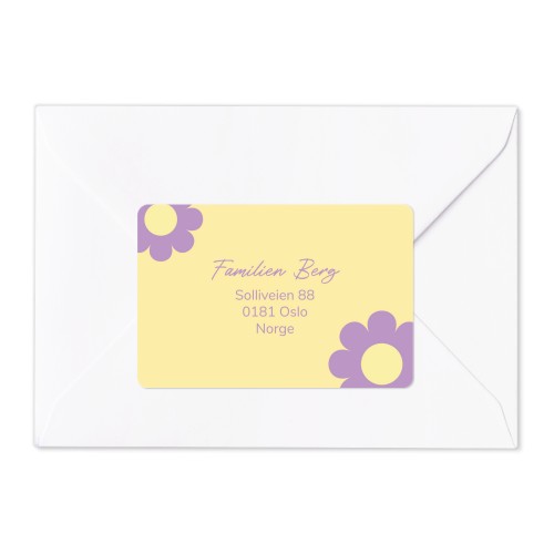 Daisy Shape Daisy Shape