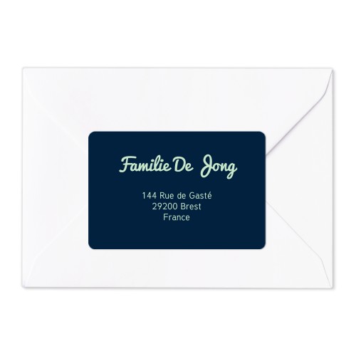 Typo Pacifico - Text Only