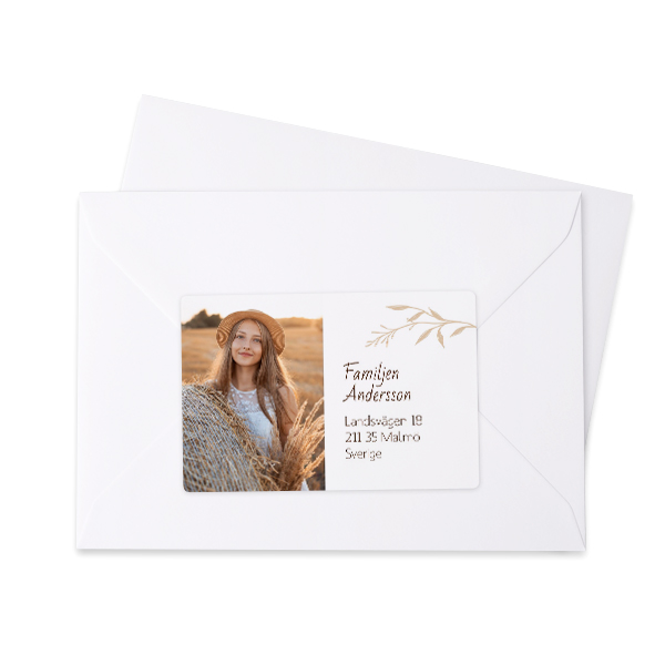 Elegant Plants Cross