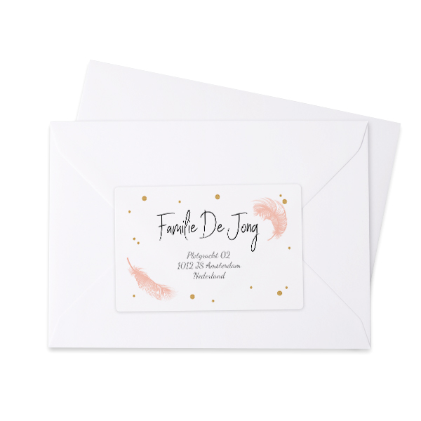 Feather Sparkles  - Text Only