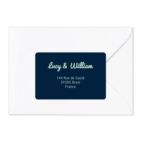 Typo Pacifico - Text Only