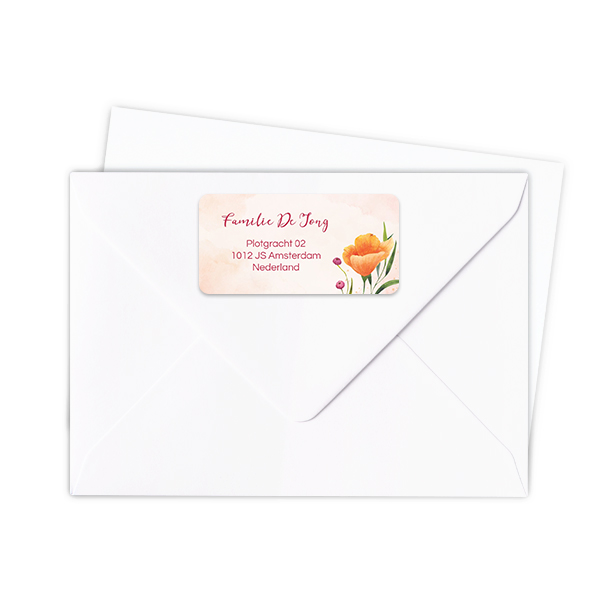 Sender address labels - set of 24 Sender address labels - set of 24