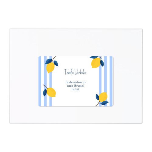 Lemon Stripes Party Lemon Stripes Party