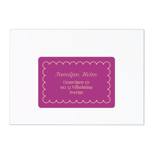 Classy Scallop Bow - Text Only