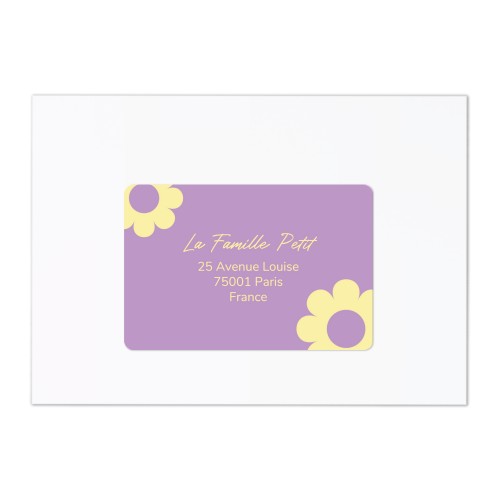 Daisy Shape Daisy Shape