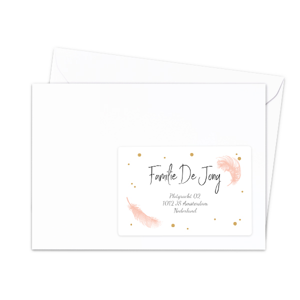 Étiquettes adresse pour les destinataires (lot de 16 différentes)