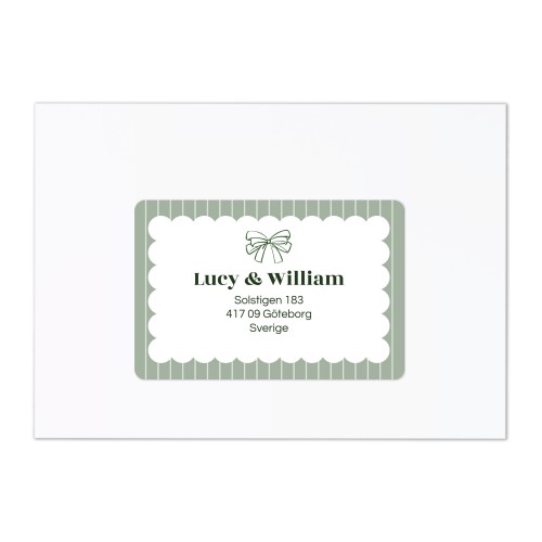 Romantic Bow Scallop Romantic Bow Scallop