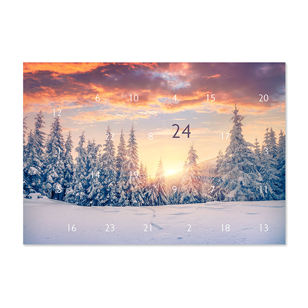 Photo Advent calendar Snowy Trees Photo Advent calendar Snowy Trees