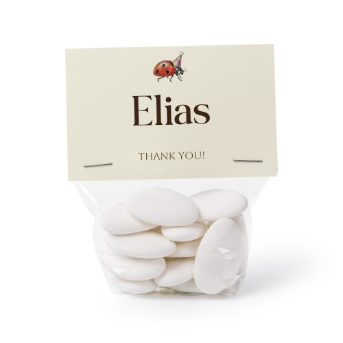 Illustration Ladybug