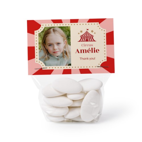 Circus Ticket Circus Ticket