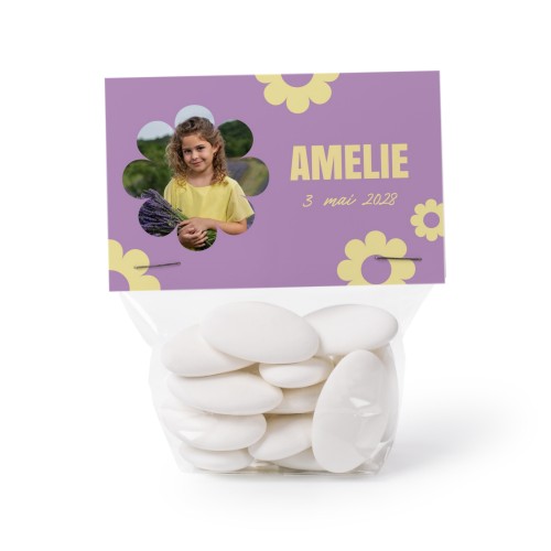 Daisy Shape Daisy Shape