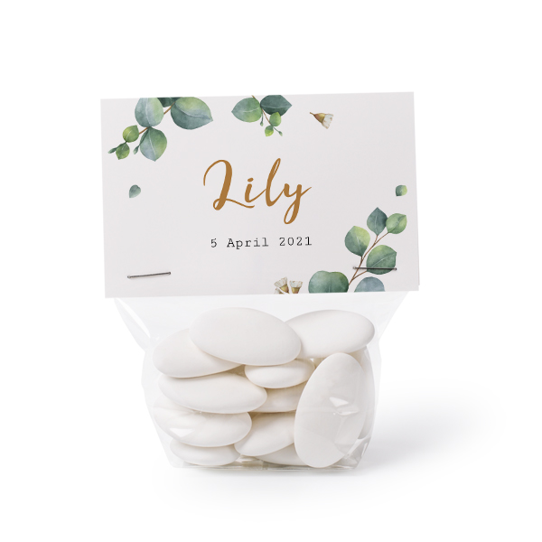 Snoepzakjes (set van 24)