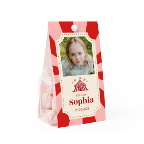 Circus Ticket Circus Ticket