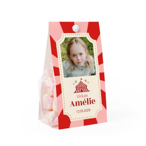 Circus Ticket Circus Ticket