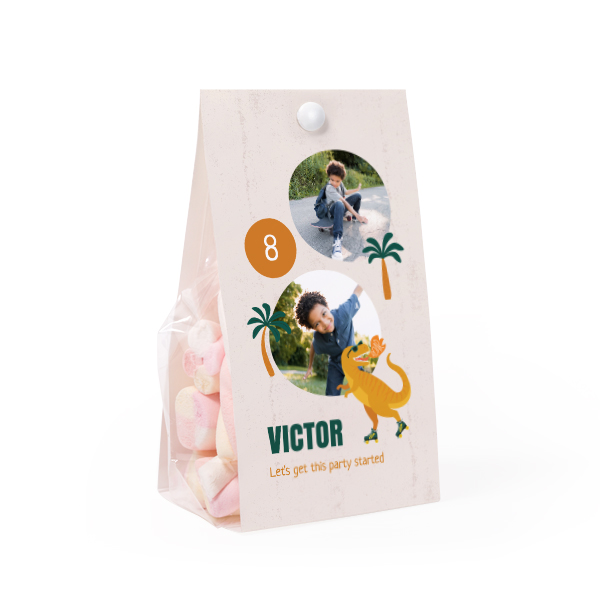 Ballotins à bonbons - Lot de 12 Ballotins à bonbons - Lot de 12