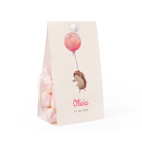 FlyingBalloonHedgehogTO FlyingBalloonHedgehogTO