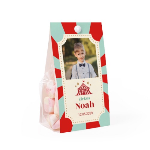 Circus Ticket Circus Ticket