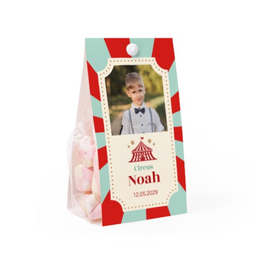 Circus Ticket Circus Ticket