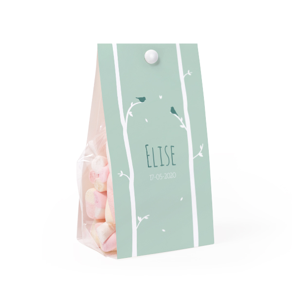 BirdsInTreesTO BirdsInTreesTO