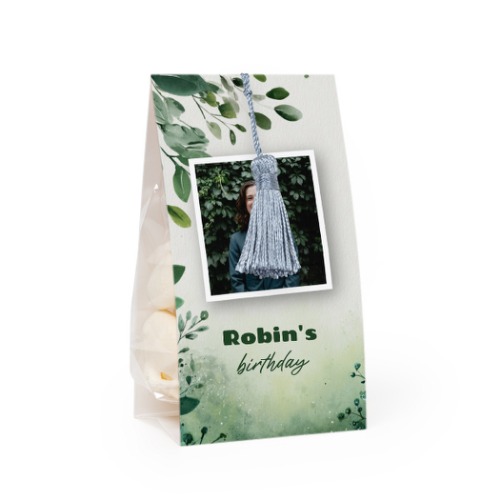Slikpose med fotoomslag og sølvblå kvast - 12 stk