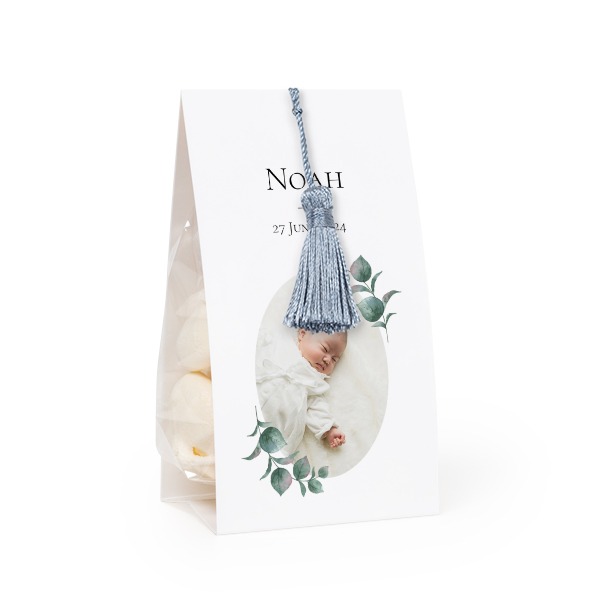 ClassicBotanicPlant ClassicBotanicPlant