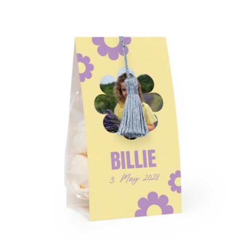 Daisy Shape Daisy Shape