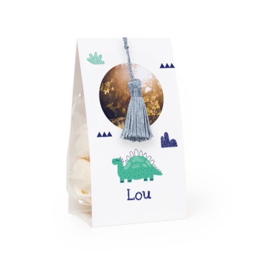 candywrap_dinosaurspattern