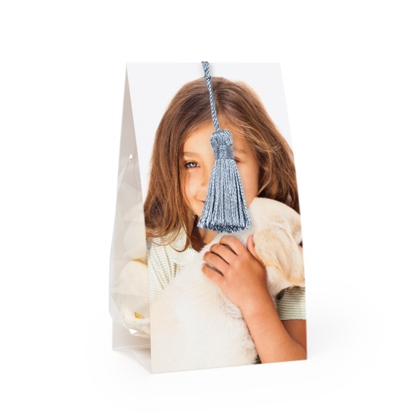 Set Geschenktüten mit silberblaufarbener Quaste - 24 Stk.