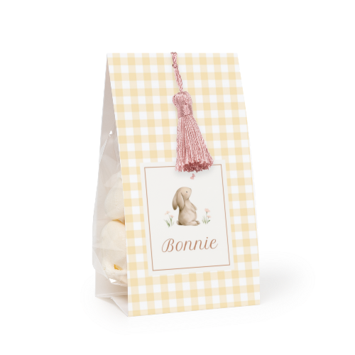 Cute Bunny Vichy