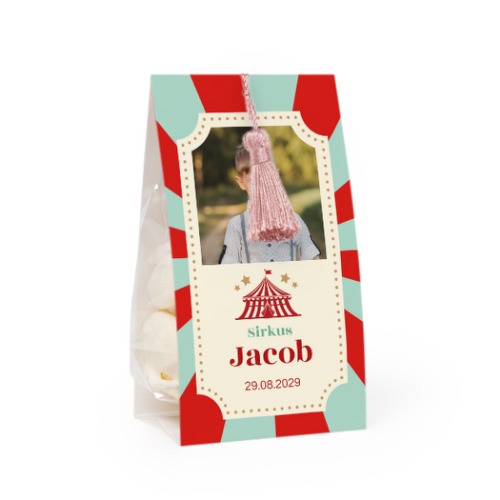 Circus Ticket Circus Ticket